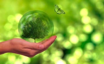 Ser eco friendly: beneficios y acciones para tu día a día