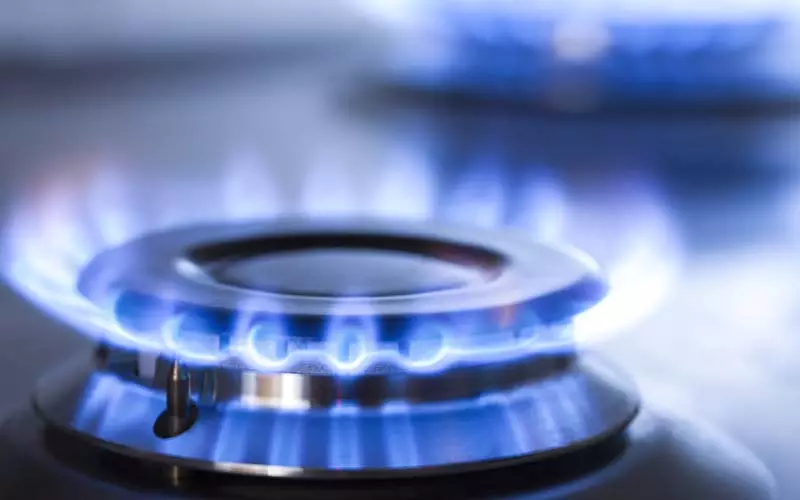 Diferencia entre gas propano y gas natural